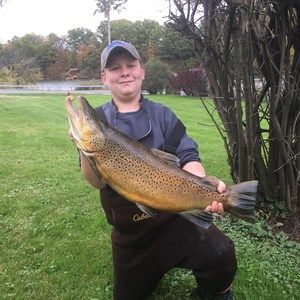 Meet your Posher, Blake